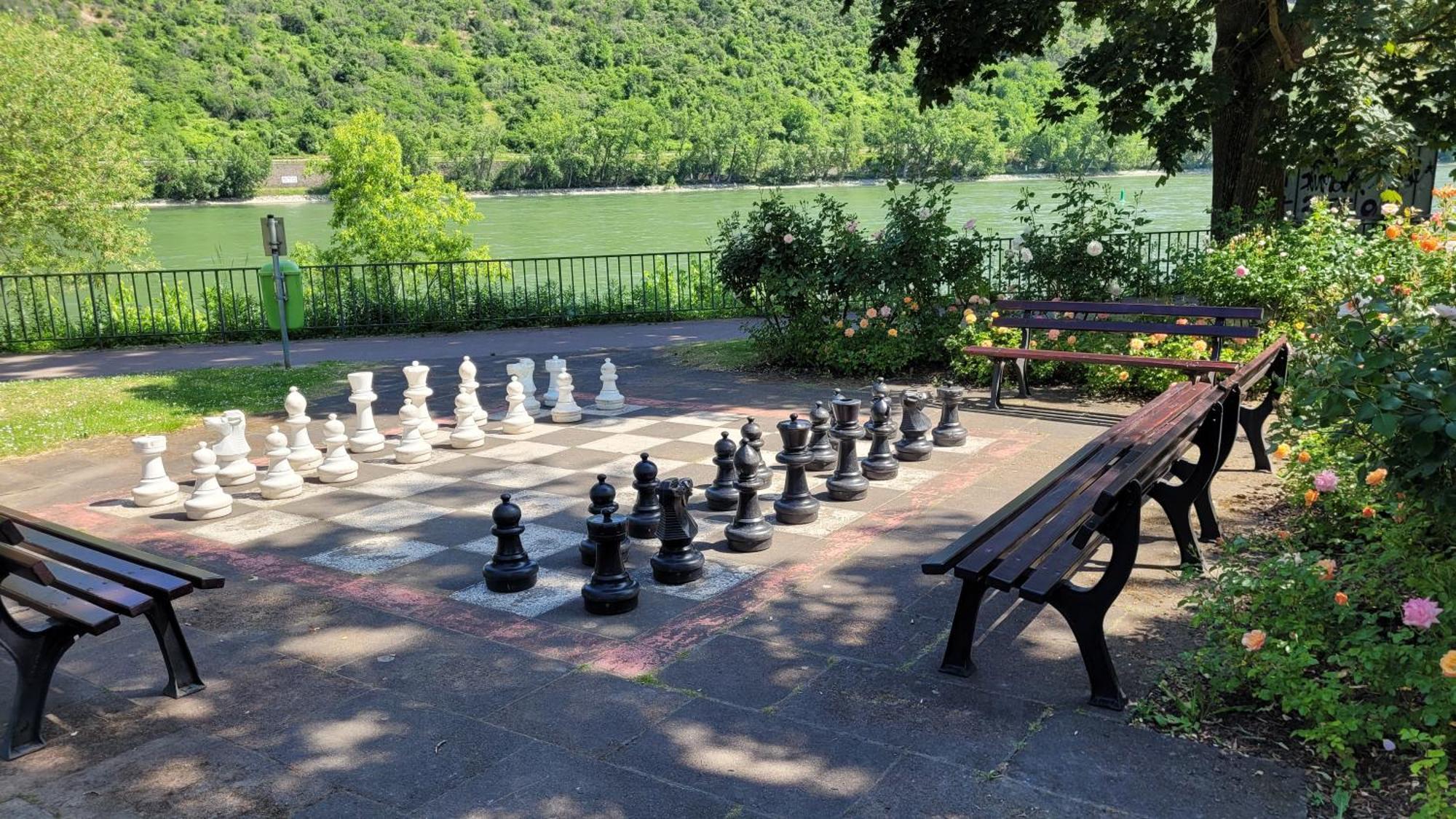 Urlaub Am Rhein, Ferienwohnung Mit Garten Boppard Exterior foto